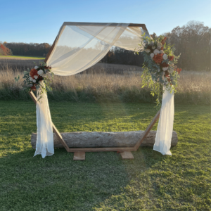 Hexagon Arch Backdrop